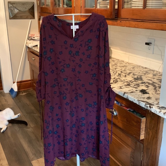 Molly and Isadora plus size floral dress. Wirnnonce - Picture 1 of 5